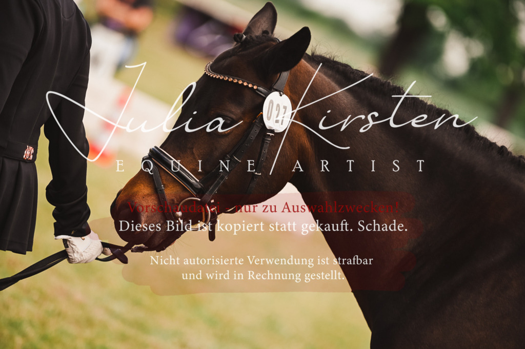 DSC_5863 | Pferde- und Turnierfotografie in Westsachsen. Pferdeportraits, Auftragszeichnungen und intuitive Kunst.
