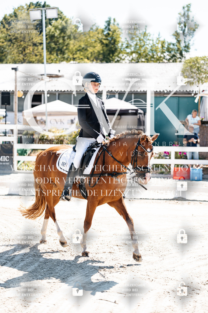 CK902246 | Turnierfotografie Pferdefotografie Trier Rheinland-Pfalz Pferdesport Reitsport Tierfotografie Sportfotografie Pferdevideo Pferdevideografie Equestrianvideography equestrianphotography  - Realisiert mit Pictrs.com