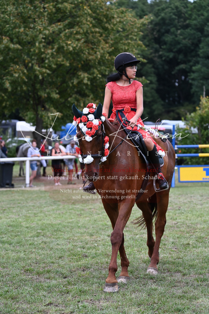 DSC_9275 | Pferde- und Turnierfotografie in Westsachsen. Pferdeportraits, Auftragszeichnungen und intuitive Kunst.