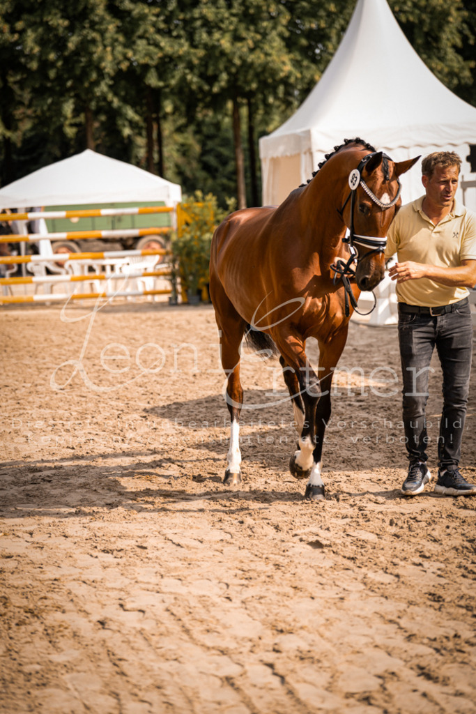 FrER00109 | Leoni Ertmer Photography - Realisiert mit Pictrs.com