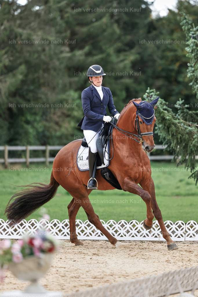 04_1-143-Dressur M__ -StoibPH-StoibPH-2692 | working equitationturnier fotograf videograf stoibphotography marixx film working equitation deutschland reitsport turnierfotografie eventfotografie equestrian events
