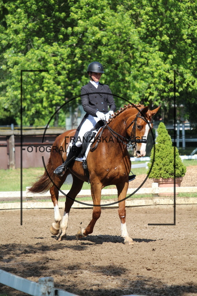 IMG_7151 | franziskalange - Realisiert mit Pictrs.com