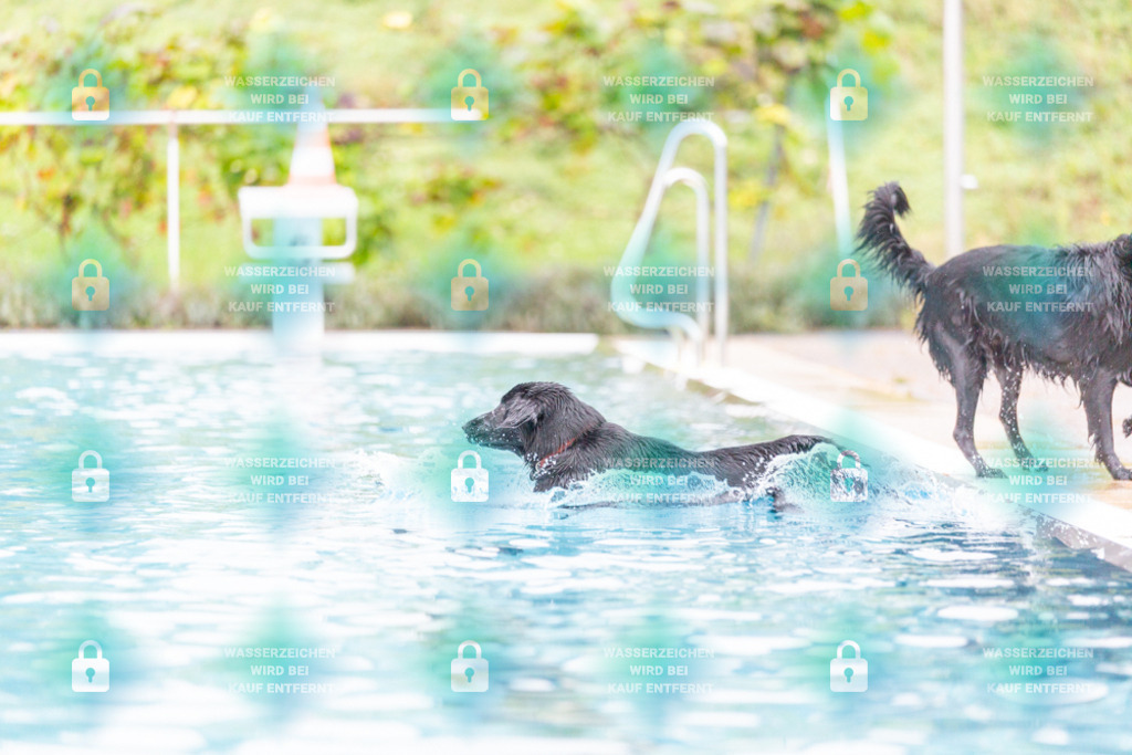 _HP_7305_1000o | HetPix, HetPix Fotodesign, Fotografie, Fotodesign, Webshop, Sportfotografie, Portraitfotografie, Onlineshop, Sportfotografie, Polch, Motorsportfotografie, Eventfotografie