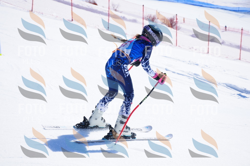 DSC_3781 | holidayphoto