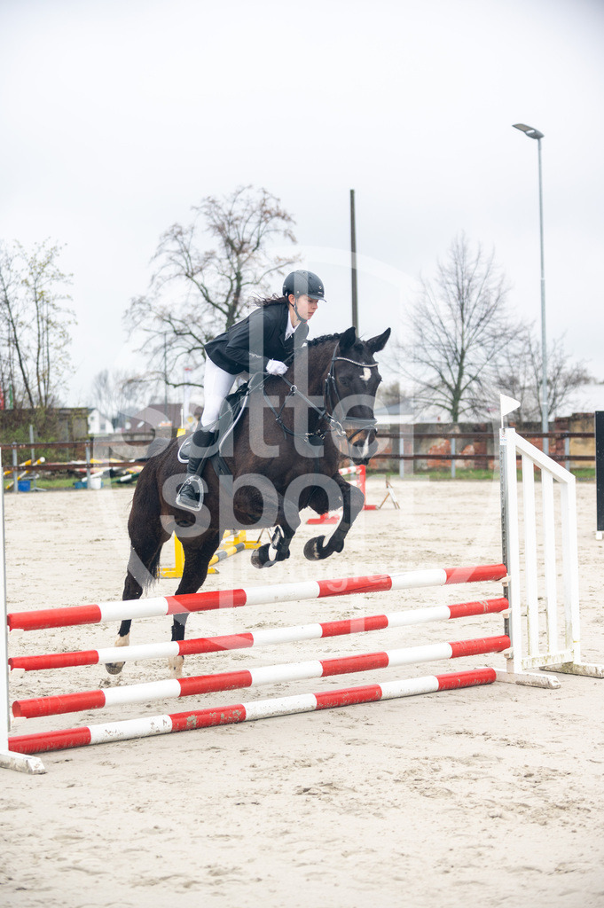 DSC_8420 | sattelsport - Realisiert mit Pictrs.com