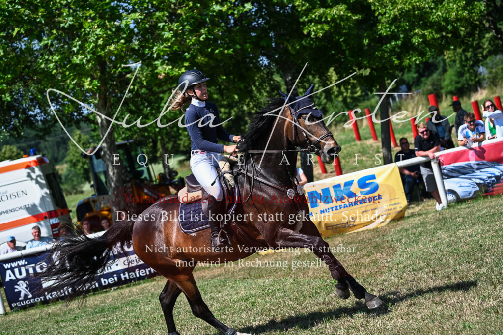 DSC_1302 | Pferde- und Turnierfotografie in Westsachsen. Pferdeportraits, Auftragszeichnungen und intuitive Kunst.