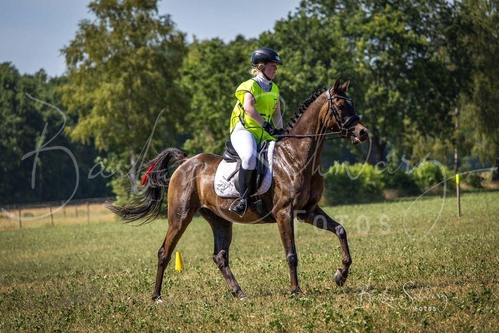 CJP_2026-06-26_180 | Stimmungsvolle Fotografie von Pferden, fotografische Begleitung von Veranstaltungen, Golfturnieren und Distanzritten - Realisiert mit Pictrs.com