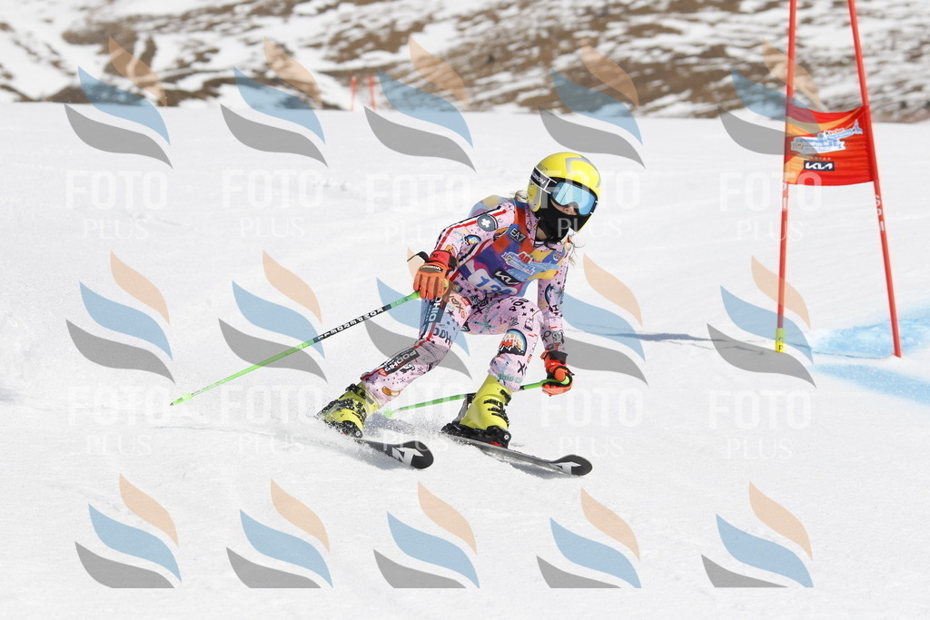 _U3G1019 | holidayphoto