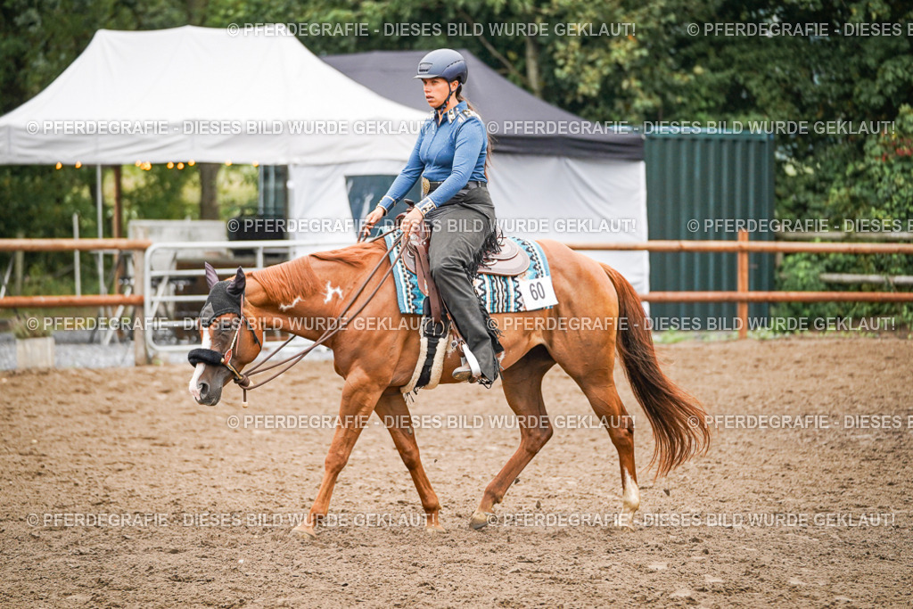 DSC02285 | Pferdegrafie