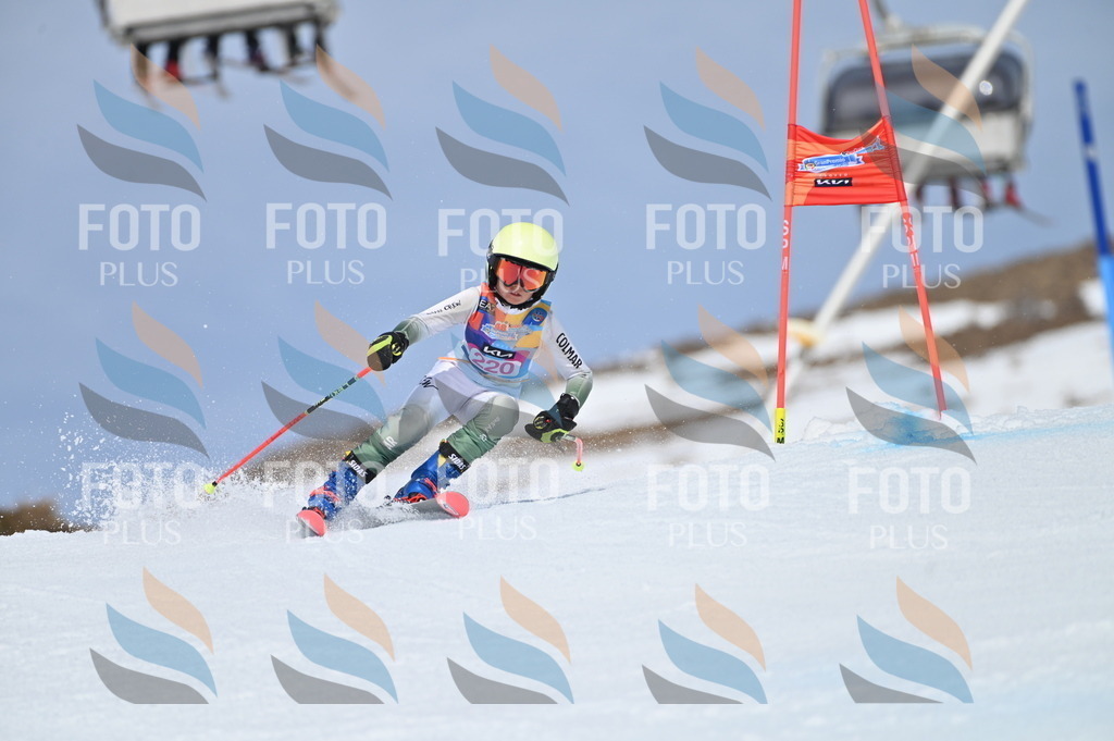 BGV_1310 | holidayphoto