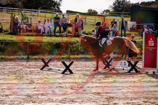 2026_10_03_Siefer-Hof_144705_Z81_23674444 | Professionelle Reitsport-, Turnier- und Eventfotografie von Robert Broda. Galerien mit ausgewählten und bearbeiteten Bildern direkt online ansehen und bestellen.
