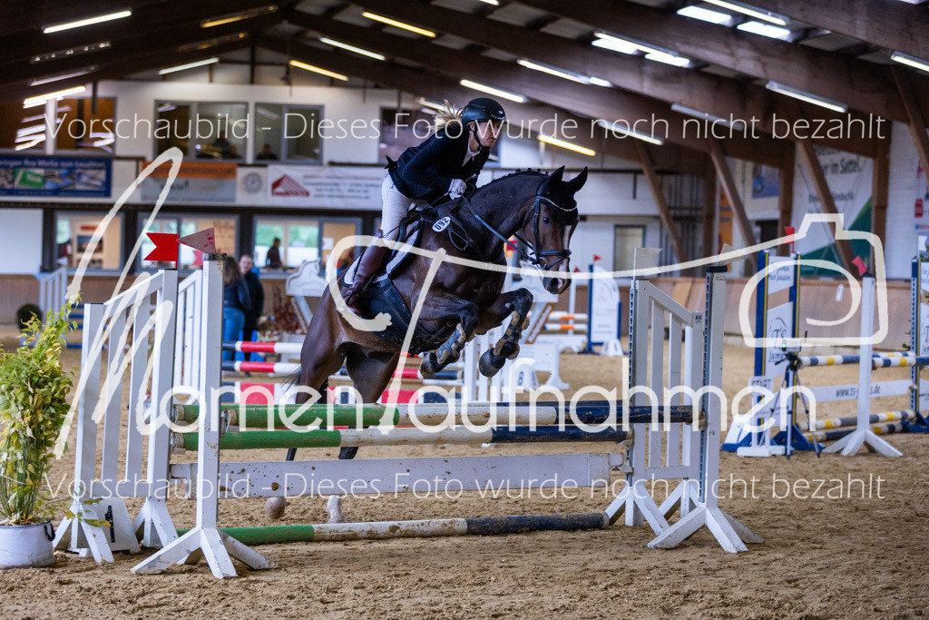 Sth-Gewöhnung-016 | MomenTaufnahmen Pferdesportfotos