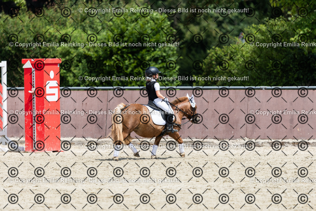 CL5A3834 | Emilia Reinking Fotografie - Realisiert mit Pictrs.com