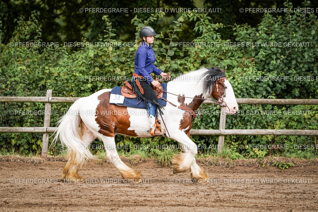 DSC07691 | Pferdegrafie