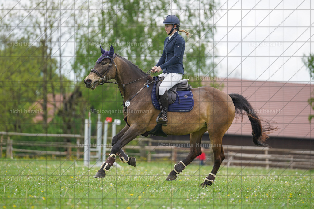 20240509-FAH02610 | Turnierbilder der Turnierfotografen Bayern, Pferdesport Fotografie, Reitsportbilder, Turnier Landberg am Lech, Turnierbilder bayern, Fotoagentur Herrmann