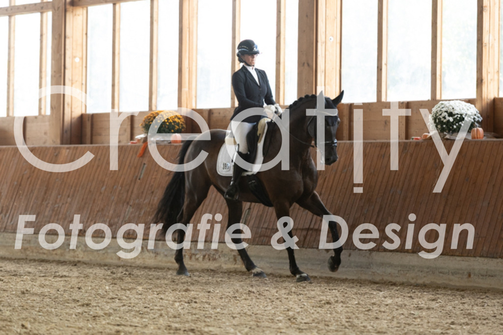 IMG_3330 | Creatify Fotografie