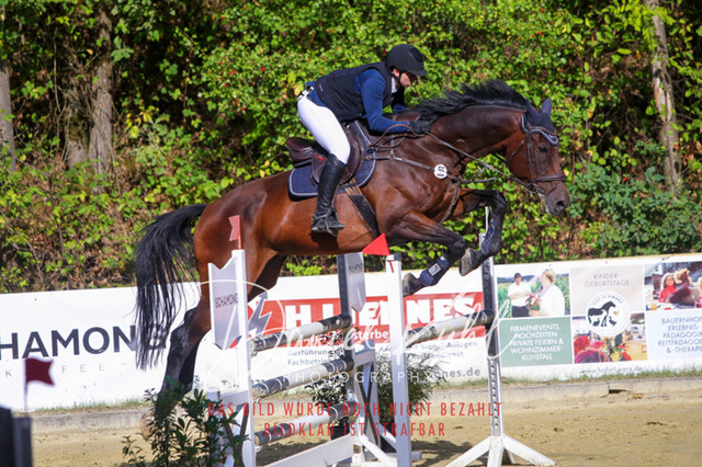 DKP42450 | Turniersportfotografie; Pferdefotografie; Dressurfotografie