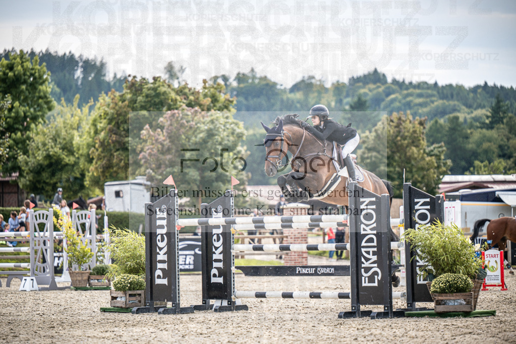 DOS_2603 | Entdecke hochwertige Reitturnierfotos von Foto Oger. Professionell, emotional und authentisch – jetzt Lieblingsmomente im Shop bestellen.Deutschlandweite Turnierfotografie. - Realisiert mit Pictrs.com