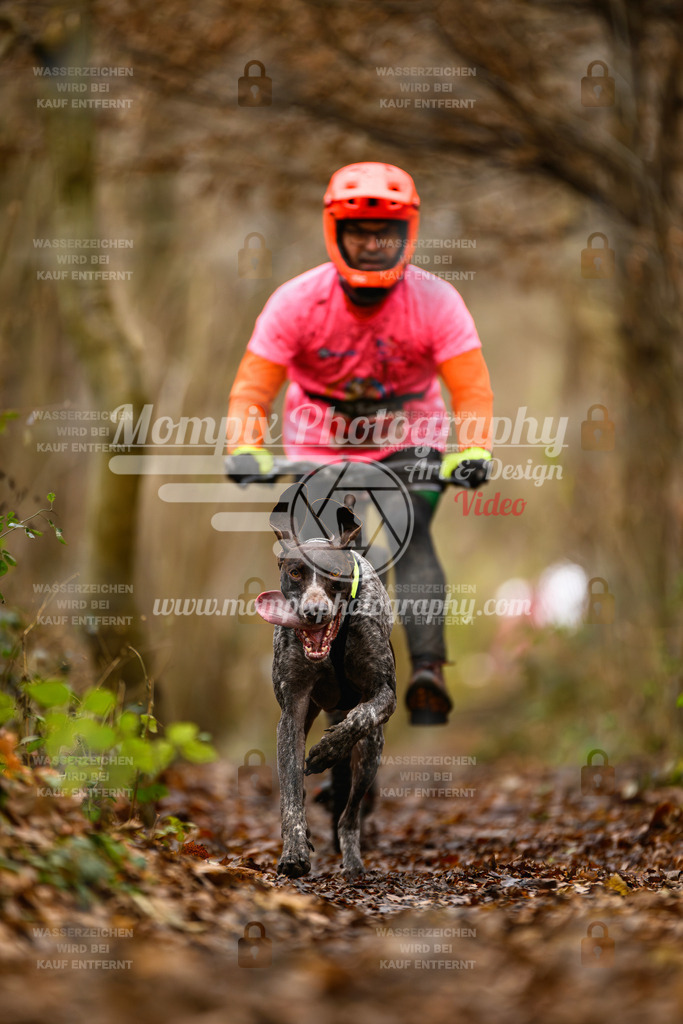 MompixPhotography_Eschau2024_DS1-3 | PayLife