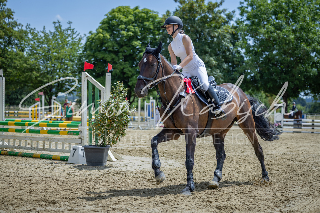 20260704-_3LI9155 | Tierfotografie Pferde, Hunde, Katzen, Haustiere.
Turnierfotografie Reitturniere, Reiten, Springreiten, Dressur in Hanau, dem Main-Kinzig-Kreis und dem Rhein-Main- Gebiet um Frankfurt