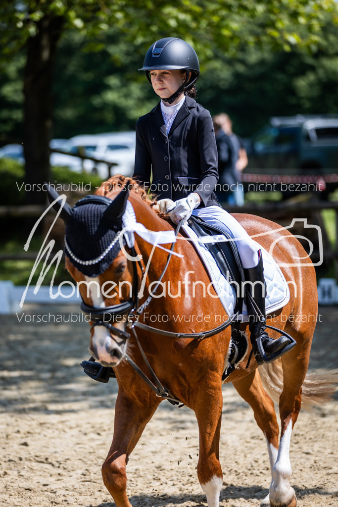 Donop24-RWB-072 | MomenTaufnahmen Pferdesportfotos