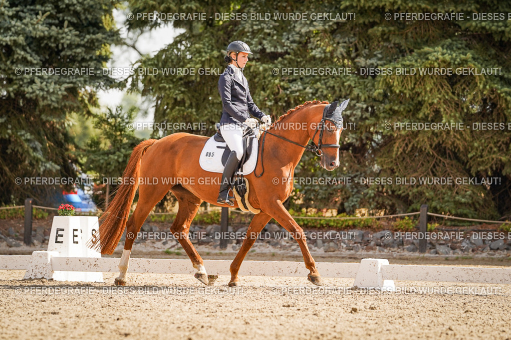 DSC01095 | Pferdegrafie