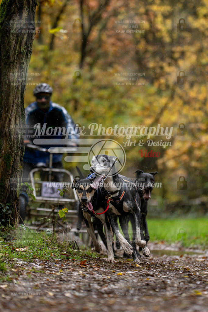 MompixPhotography_Bischwiller23_Kart-6 | PayLife