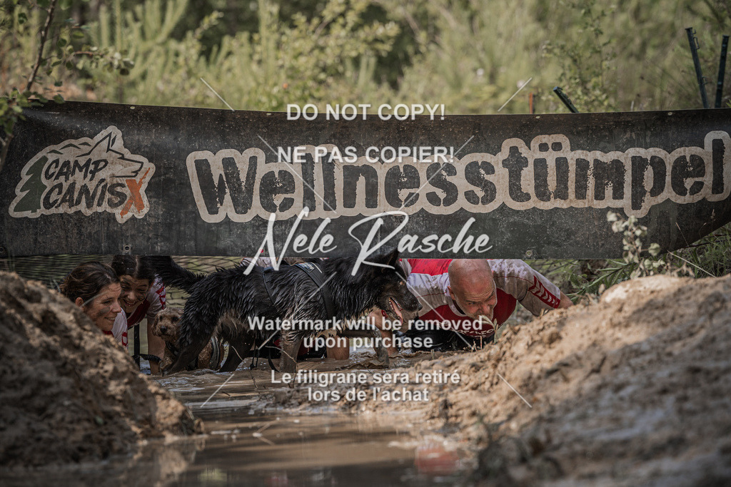 nelerasche_Hoope2026_So1530-1600_01 | nelerasche