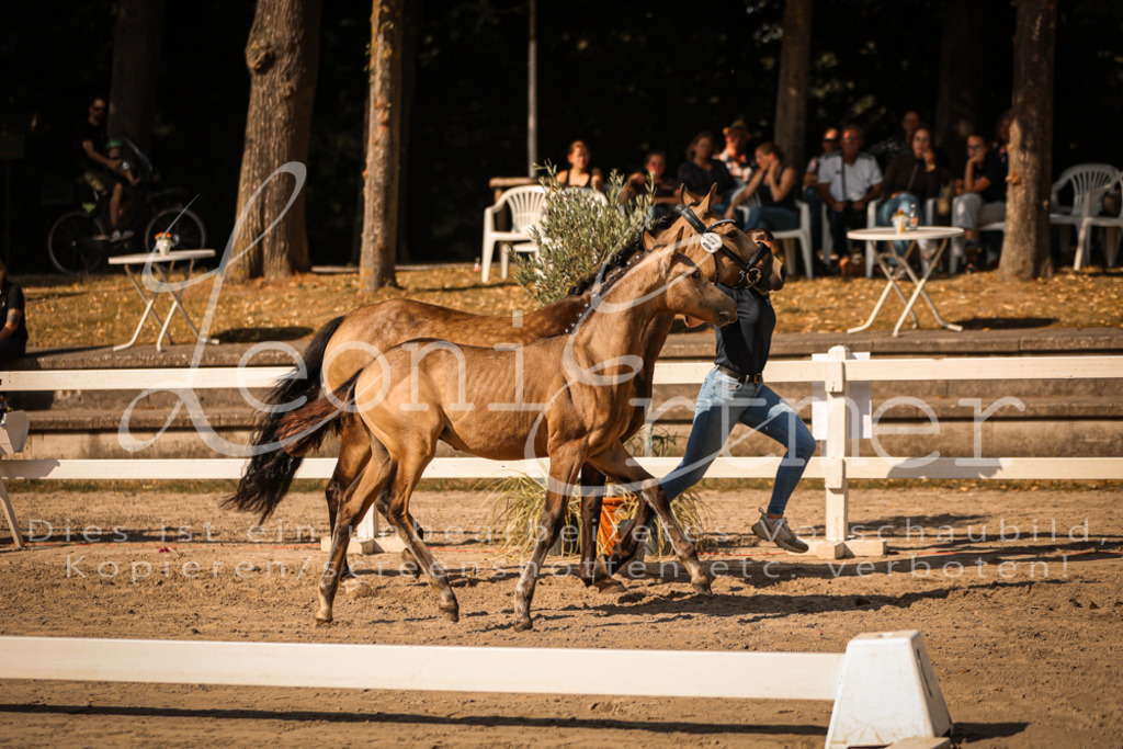 11.DoRP00009 | Leoni Ertmer Photography - Realisiert mit Pictrs.com