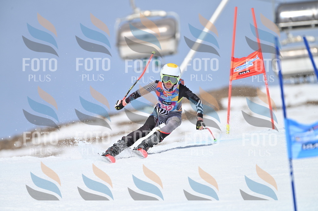 BGV_3475 | holidayphoto