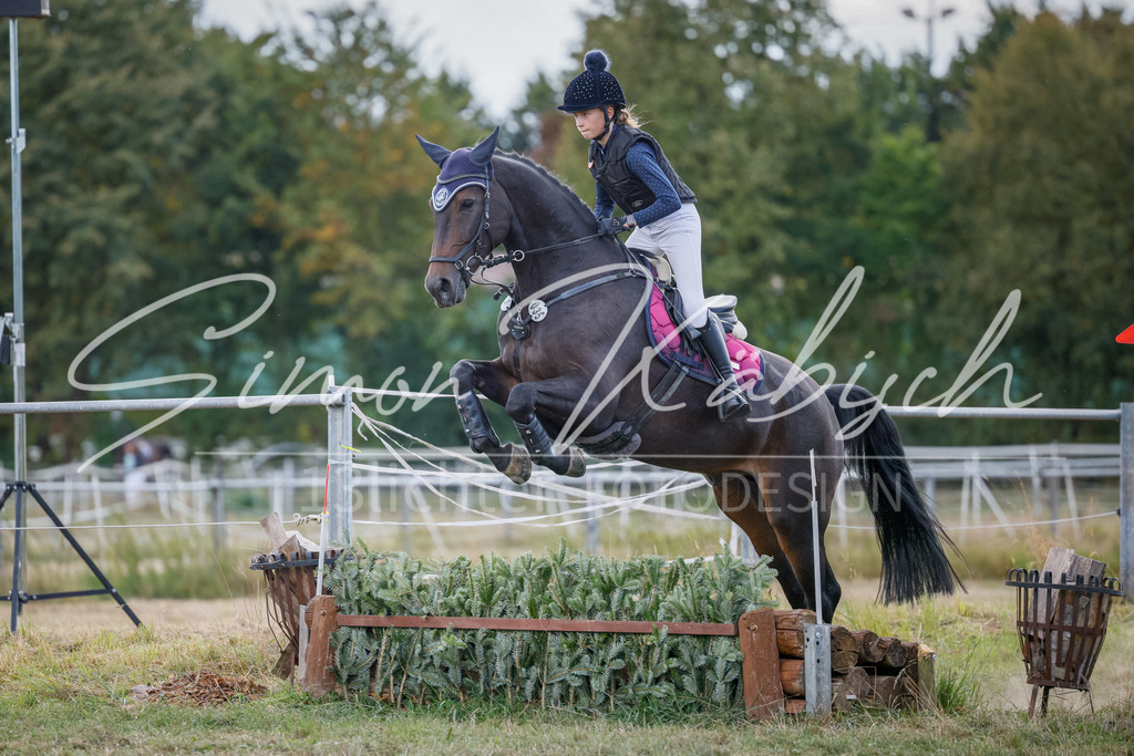 20250905-_3LI1892 | Tierfotografie Pferde, Hunde, Katzen, Haustiere.
Turnierfotografie Reitturniere, Reiten, Springreiten, Dressur in Hanau, dem Main-Kinzig-Kreis und dem Rhein-Main- Gebiet um Frankfurt