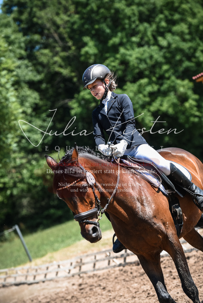 DSC_2871 | Pferde- und Turnierfotografie in Westsachsen. Pferdeportraits, Auftragszeichnungen und intuitive Kunst.