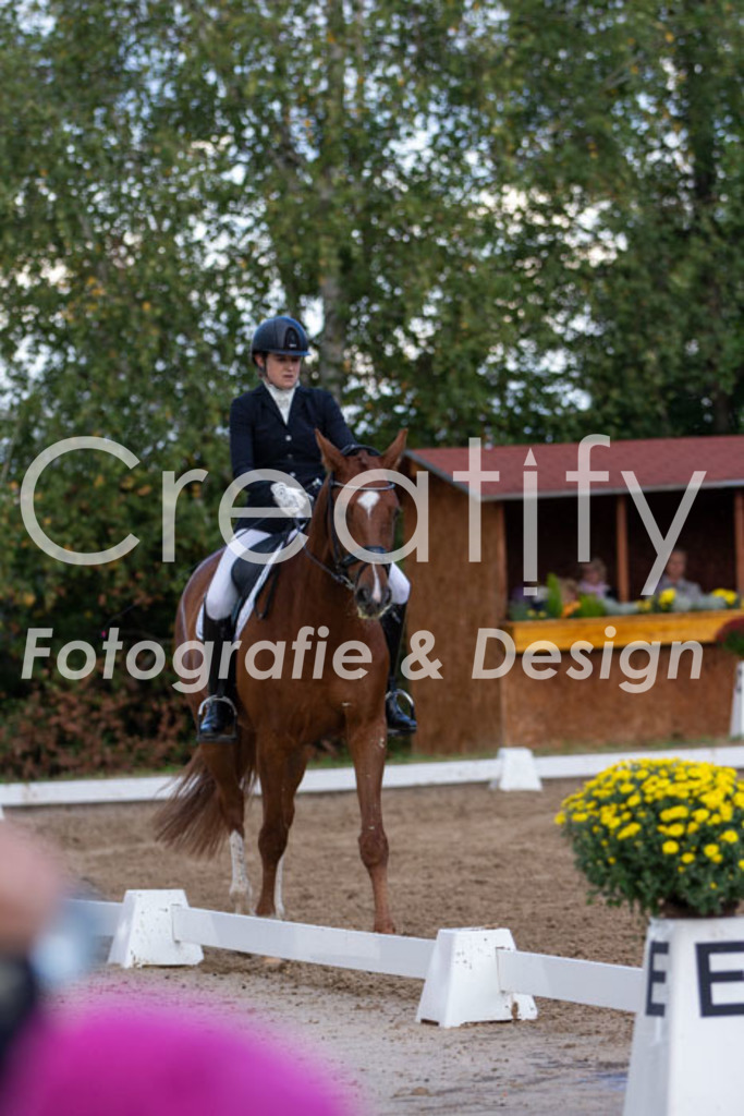 IMG_4188 | Creatify Fotografie