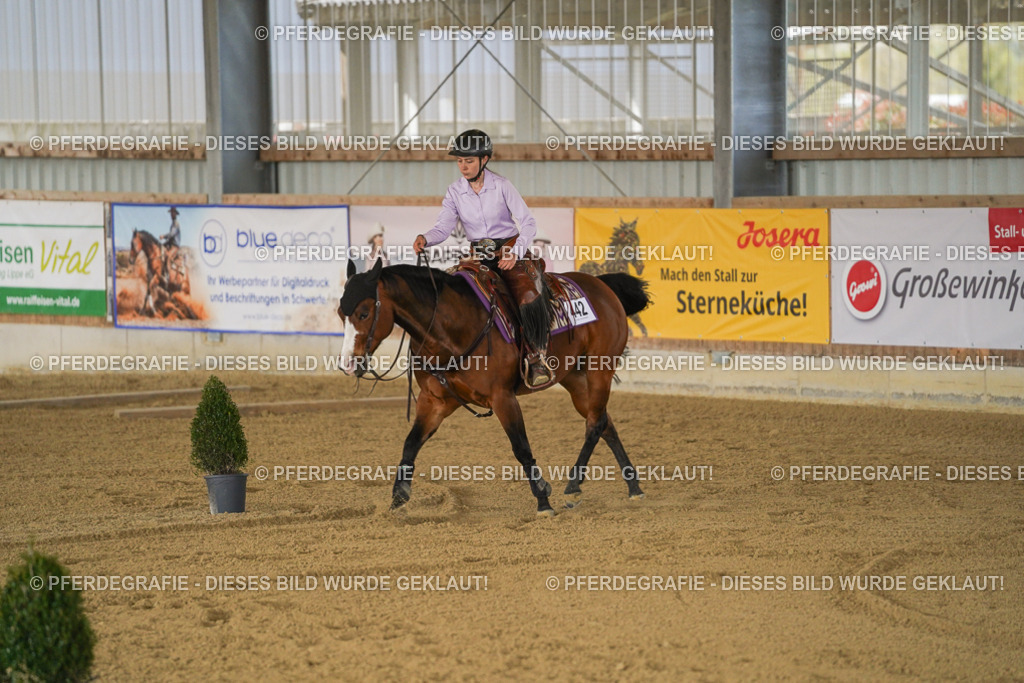 DSC06159 | Pferdegrafie