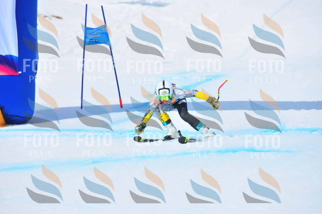 DSC_7034 | holidayphoto