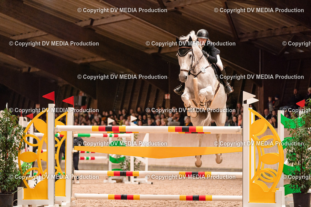 Springen Tag 3-463 | dv-media-shop - Realisiert mit Pictrs.com