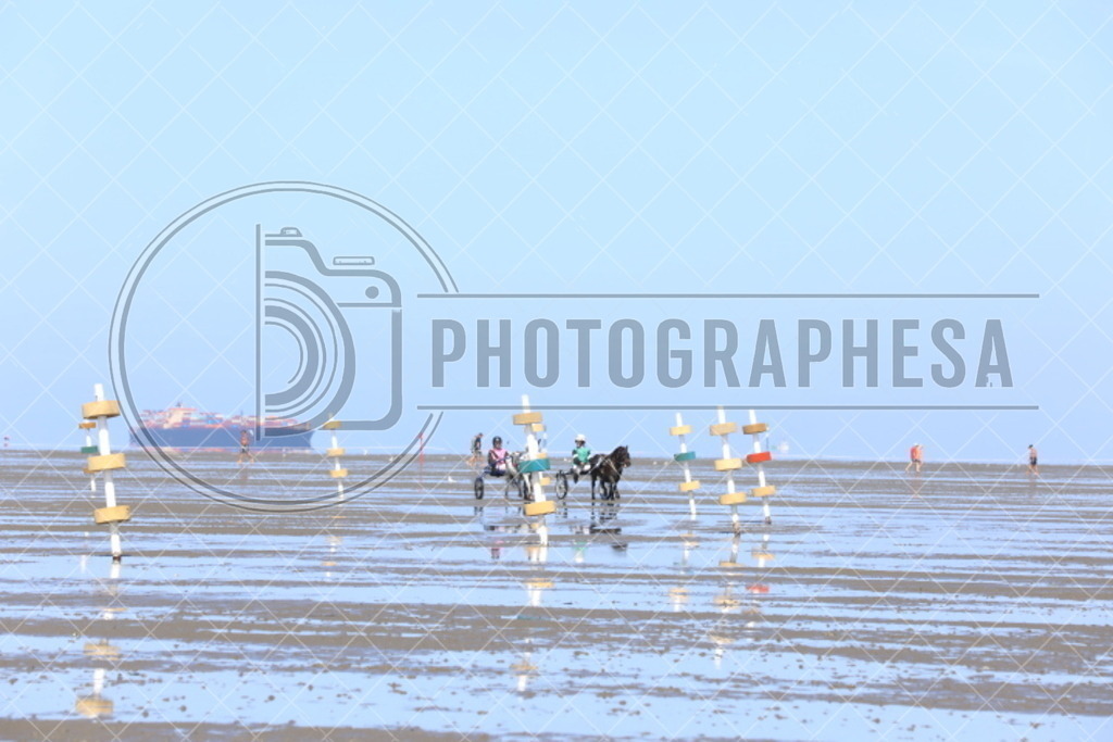 IMG_8723 | photographesa-joergens - Realisiert mit Pictrs.com