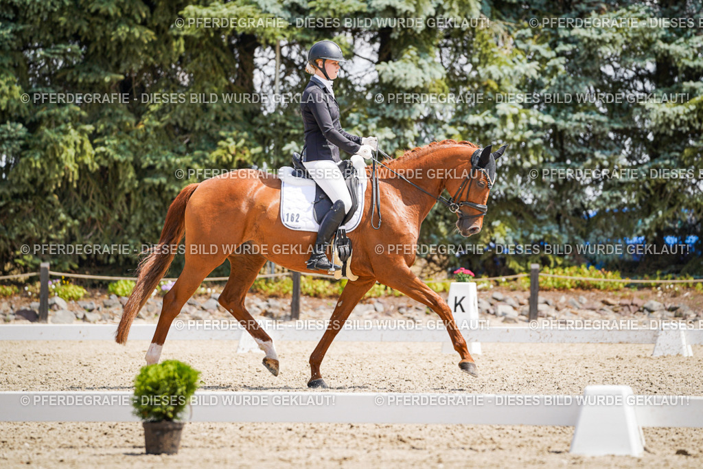 DSC00822 | Pferdegrafie