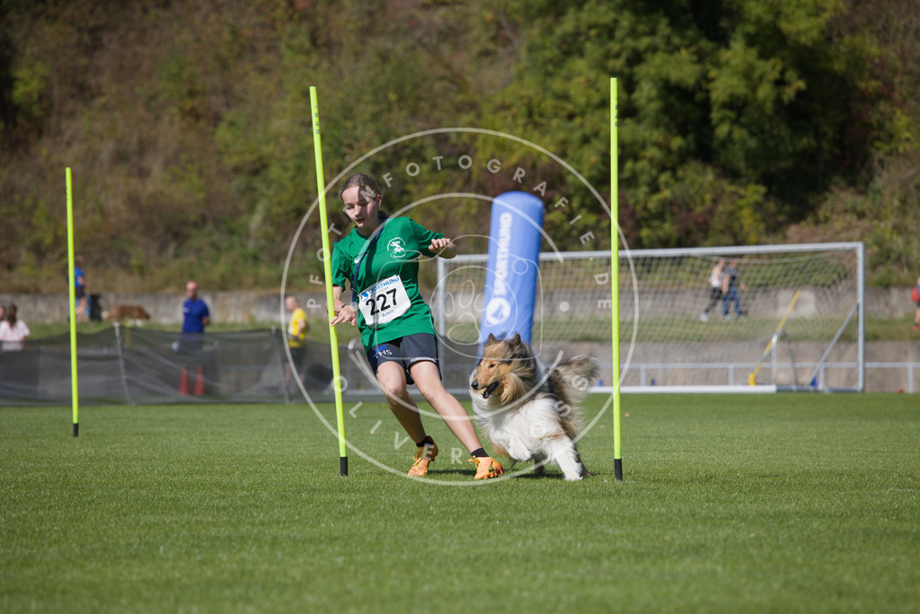 0L8A6039 | Hundefotografie, Tierfotograf, Pfotenfotografie, Fotoshooting Hund, Hunde Portrait, Hundesport, Hundeportraits, Heideshooting, Hunde, Sportfotograf, Hundefotograf, Turnierhundsport, THS,  - Realisiert mit Pictrs.com