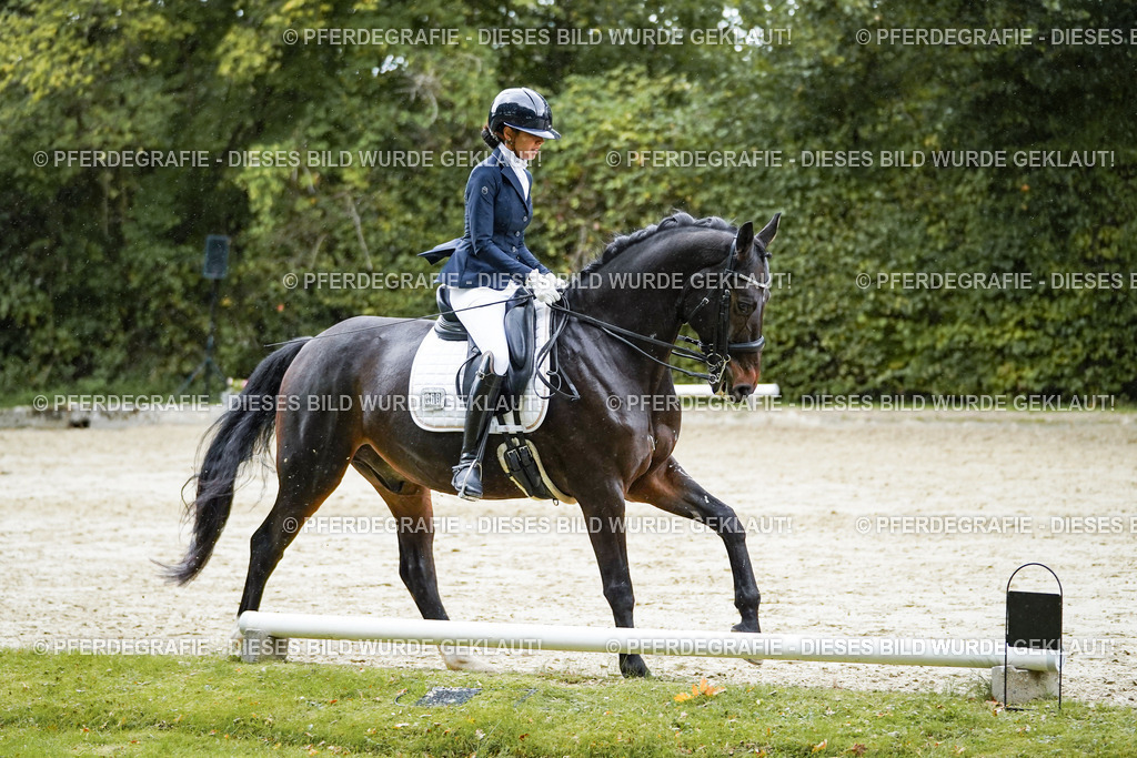 DSC00596 | Pferdegrafie