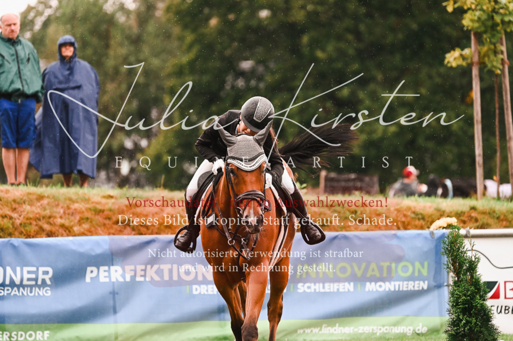 DSC_6654 | Pferde- und Turnierfotografie in Westsachsen. Pferdeportraits, Auftragszeichnungen und intuitive Kunst.