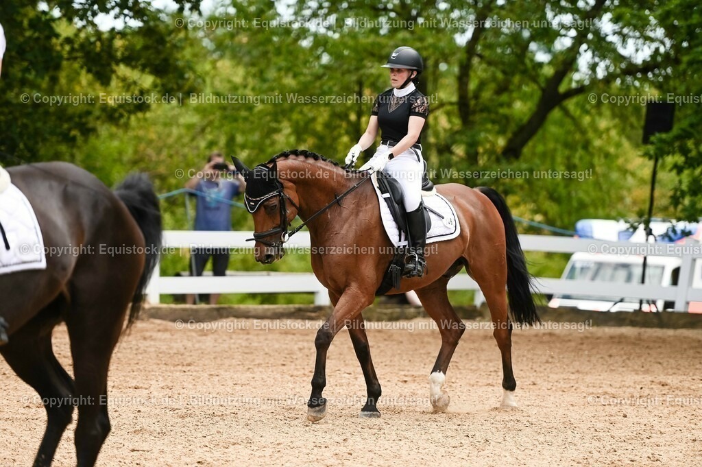 20230715_05_Dressurprüfung Kl.A++_0304 | equistock