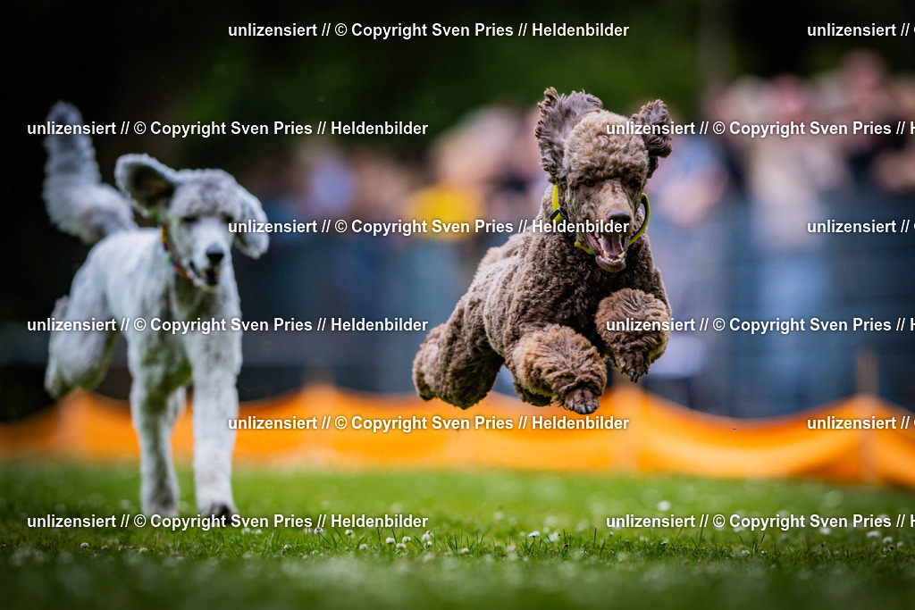 Sven Pries | 2025-05-29 - Pudelrennen KA-Durlach - Realisiert mit Pictrs.com