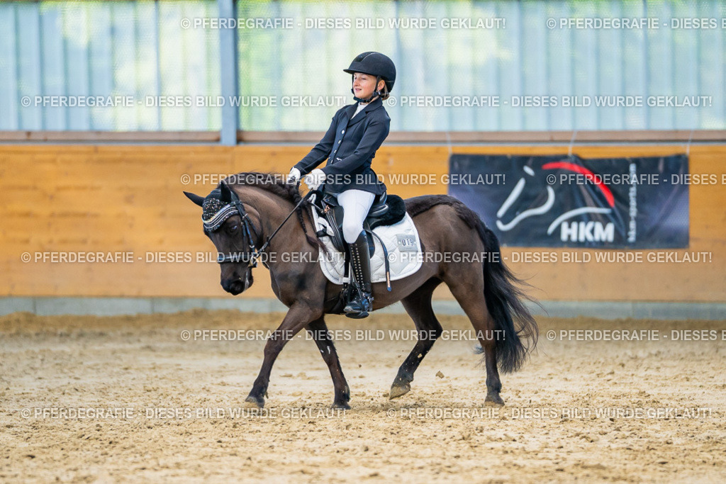 DSC06697 | Pferdegrafie