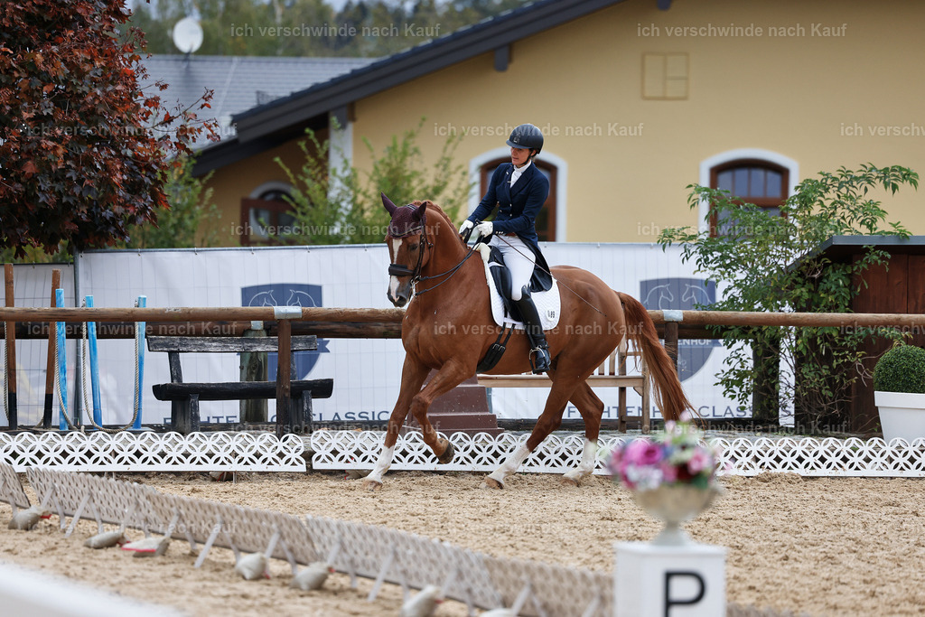 12-089-DRESSUR  S___  -StoibPH-5360 | working equitationturnier fotograf videograf stoibphotography marixx film working equitation deutschland reitsport turnierfotografie eventfotografie equestrian events