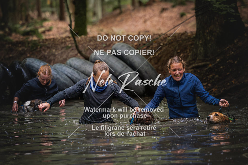 nelerasche_SaWingst1300-1400_152 | nelerasche