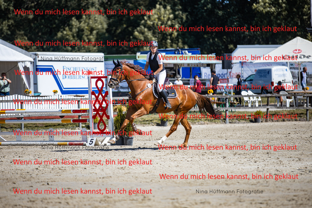 BK1A5508 | Turnierbilder Turnierfotos Nina Hüffmann Turnierfotografie Pferdefotografie Tierzeichnung Haustierzeichnung Pferdezeichnung Hundezeichnung Videograf  - Realisiert mit Pictrs.com