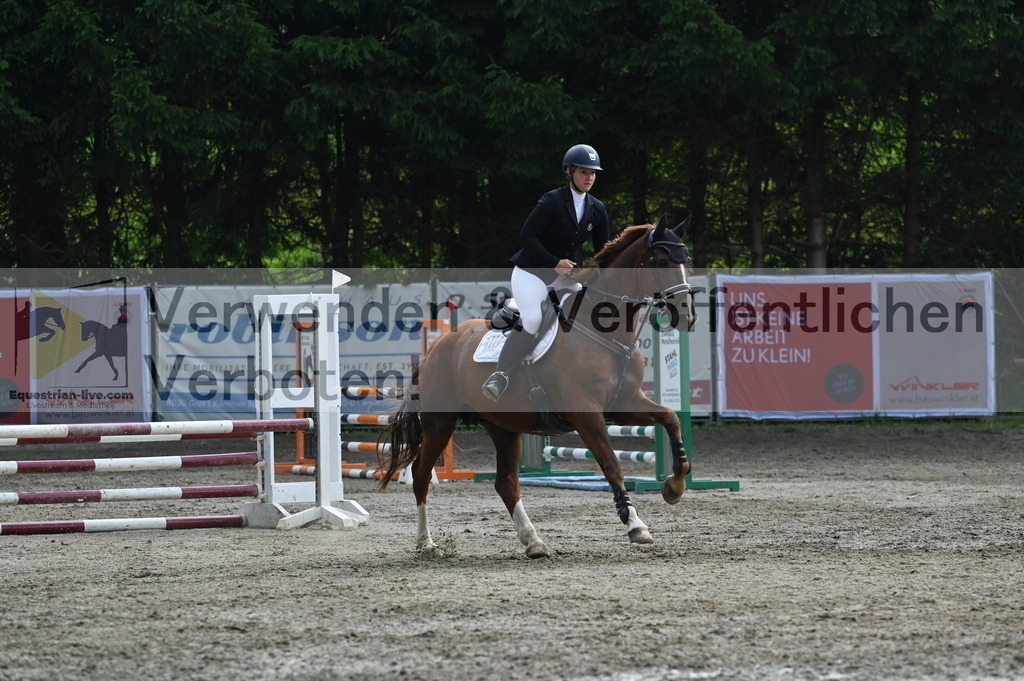DSC_4672 | equestrian-live-com