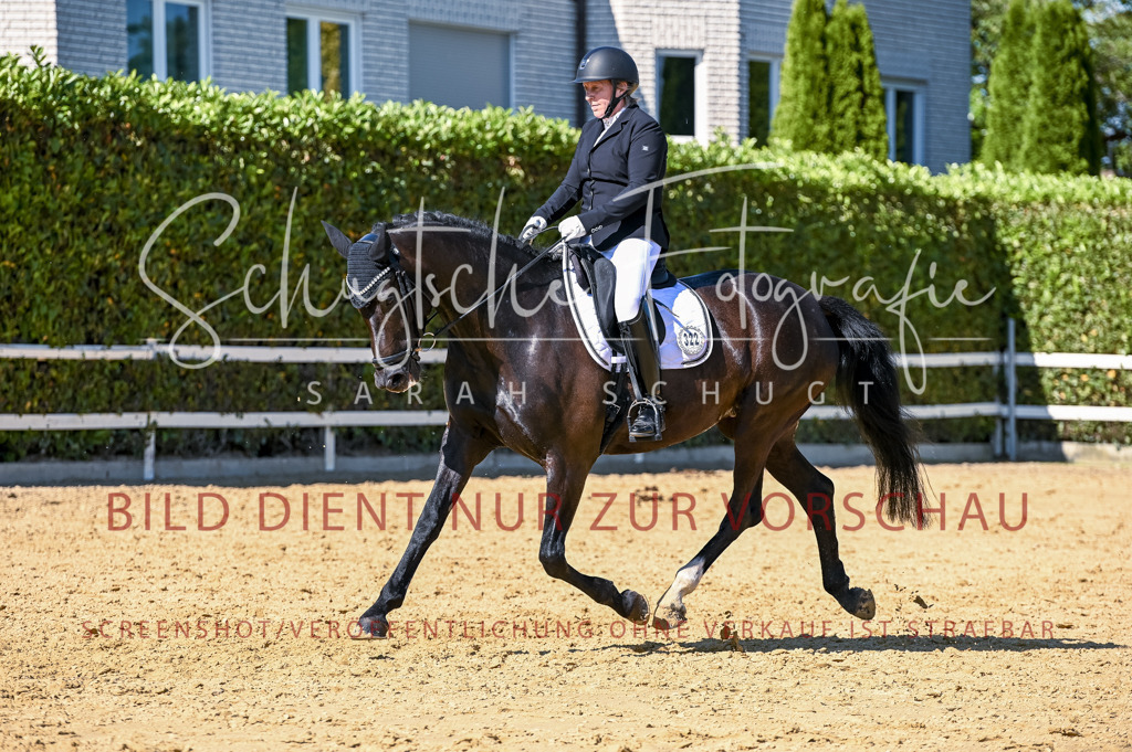 Schugtsche-Aluta25-50.Dressurpferdeprf.L-195 | Schugtsche Fotografie - Realisiert mit Pictrs.com