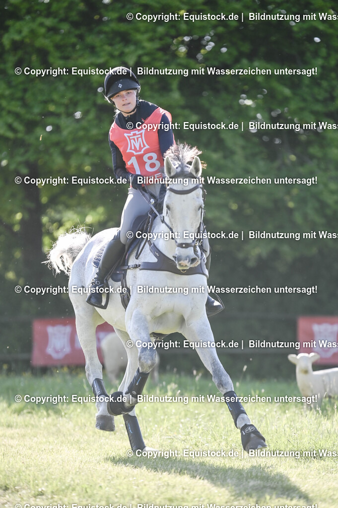 20250517_CCI2_Gelände_0479 | Foto: Thomas Hartig